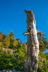 adventure, antalya, background, beautiful, blue, cloud, dagi, dusk, forests, high, highest, hiking, hill, kemer, landscape, light, likya yolu, lycia, mediterranean, mist, mount, mountain, mountains, n