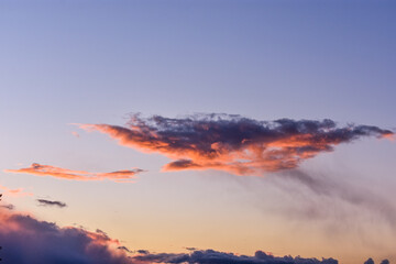 Naklejka premium Vibrant Golden Sunset with Tree Silhouette