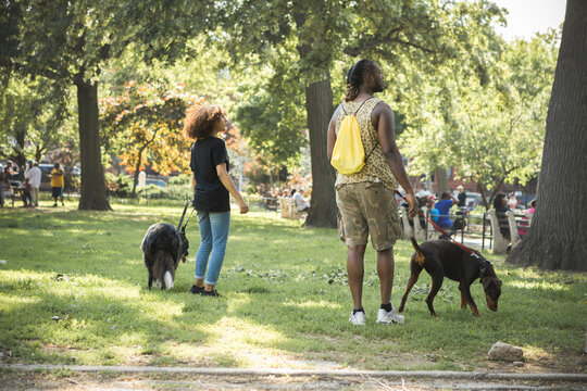Friends walking pet dogs in BedStuy Park in Brooklyn New York