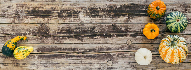 Colorful little pumpkins on a rustic wood banner with copy space. Border for your own text....