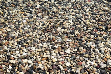 gray and beige pebbles on the riverbank
