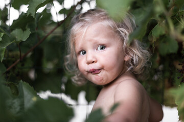 portrait petite fille blonde dans les vignes