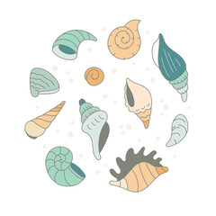 Colorful set seashells in doodle style. Vector shells collection on white background. Summer paradise holiday. Vintage set. Design for print, poster,  textile, paper, card, t-shirt, invitation, menu