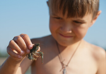 A boy holding a crayfish, close up