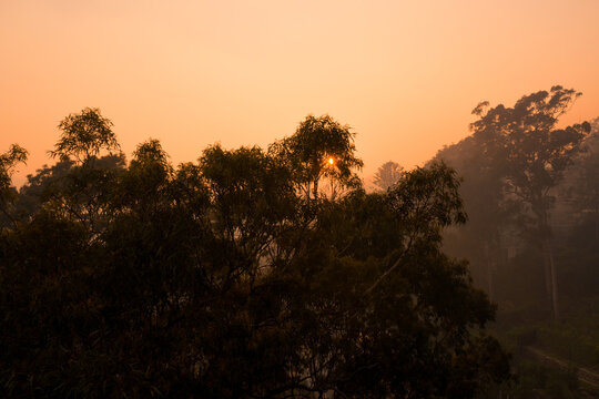 Smoke Filled Hazy Skies Over Sydney