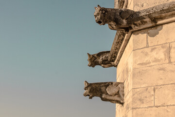 Gargoyles in Palace of the Popes, Avignon, France