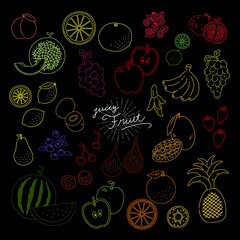 いろんなフルーツの線画手描きイラストアイコン fruit line illustration vector icon