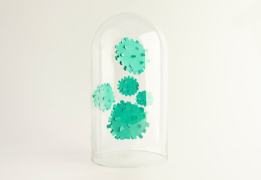 Virus