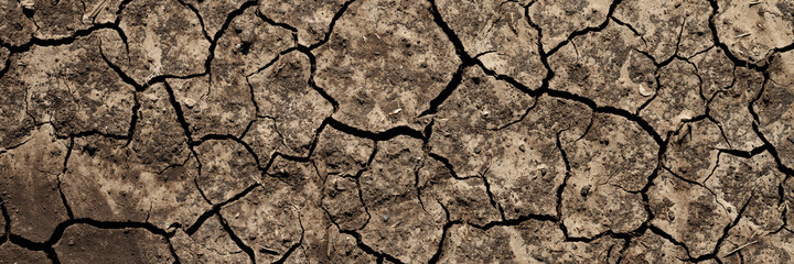 Texture of cracked dried soil. Dry ground with cracks. Brown rough surface of the soil during summer drought. Wide panoramic background for design. Ecology, climate change and global warming on Earth.
