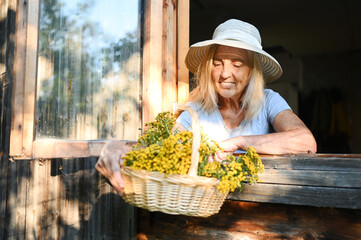 Happy smiling elderly woman having fun posing by open window in rustic old wooden village house in straw hat with flower basket. Retired old age people concept. Quarantine in the country house.