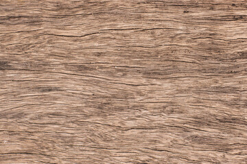 Old wood texture with natural pattern, wood background