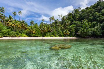 Jungle forest white sand beach turquoise lagoon. Southeast Asia. Togean islands 