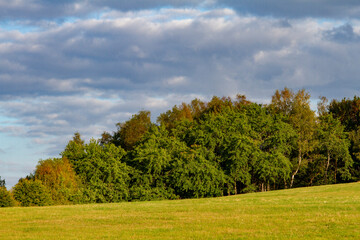 paysage foret bois ciel bleu 