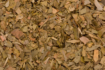 Dried Ginkgo Leaf