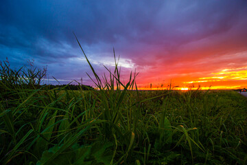 Obraz premium Sunset in the field during the rain . Summer landscape. A pink sunset. Evening light. Landscape. Nature.