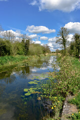 Beautiful Summers Day at Irish Canal