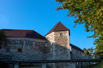 Fototapeta premium castle in the city