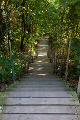 Fototapeta premium footpath in the park