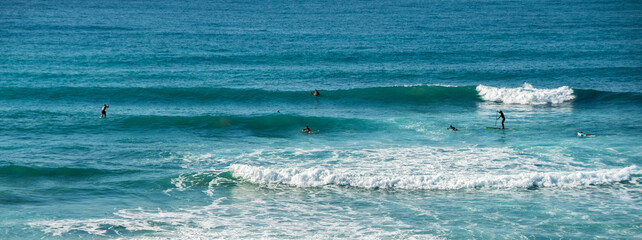 surfers in the water