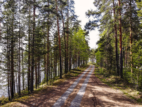 Picturesque path between tall trees and by the lake in Punkaharju ridge. Road in th forest around the clear waters and beautiful nature in the  Shouthern Savonia, Savonlinna,  Lakeland region, Finland