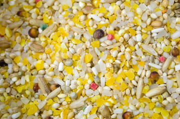 Alimento para passarinhos com milho, alpiste e outros grãos.