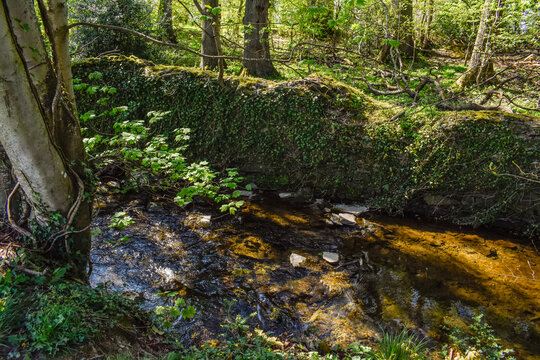 Beautiful Ancient Stream with Celtic Wall and Forest