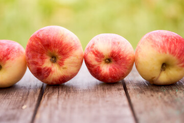 Red apples lie on a wooden board with dry spikes. Green blurred background. Close-up.