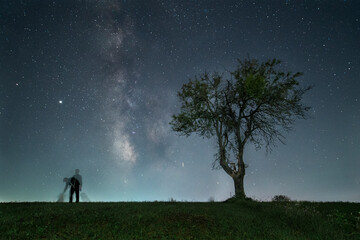 Man, tree and dogs under night sky and milky way
