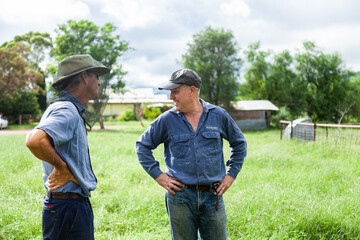 Two happy men talking together in a farm paddock