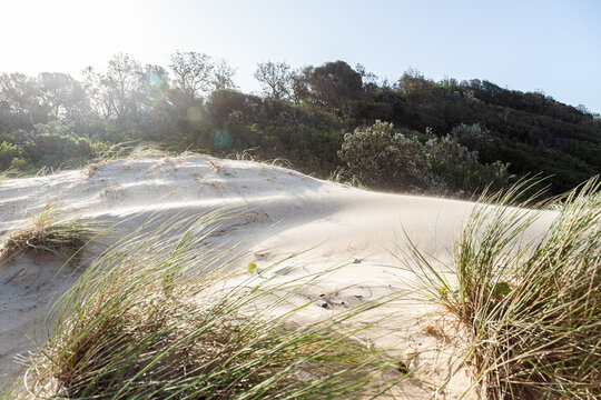 Wind blowing sand over white dunes with sea grass
