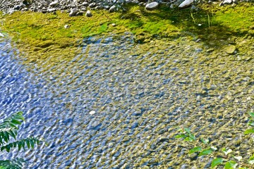 small waves on the water surface in the river