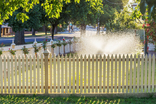 A sprinkler watering a lawn behind a picket fence