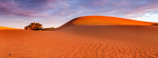 Glowing red sand dunes in evening sunshine