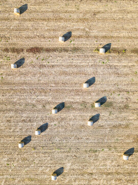 Looking down on round hay bales sitting in a paddock