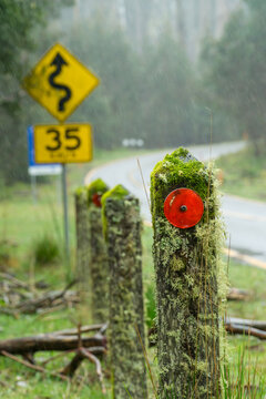 Posts on a roadside covered in moss and a road sign in the rain