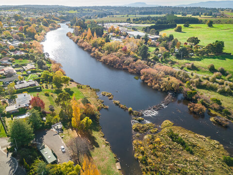 Aerial view a country town with golden autumn trees lining the riverbanks