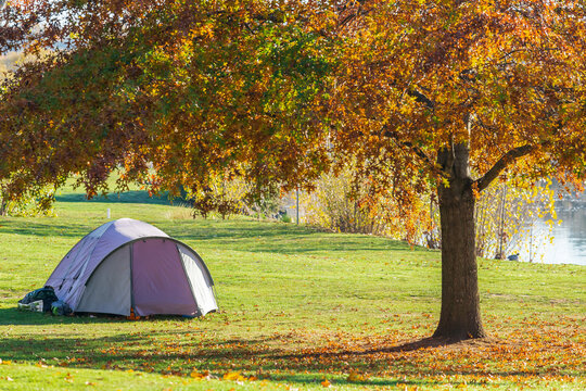 A tent pitched under an Autumn tree on the banks of a river