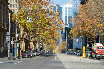 Looking along a tree lined city street with no traffic.