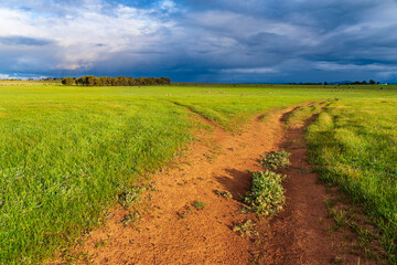 Tracks heading off into the distance through a lush green paddock under dark clouds