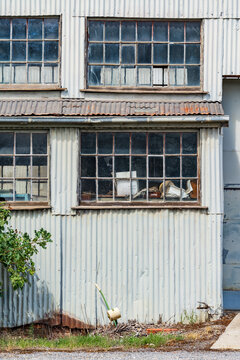 Window panes in the side of an old corrugated iron factory