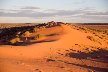 Red sand dune in the Simpson Desert