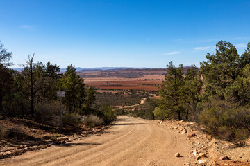 tree lined road with plains in background