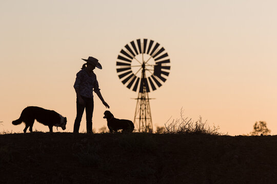 Female farmer petting dogs in silhouette with windmill