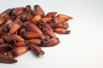 Pinhão, pinion, fruto do pinheiro, árvore brasileira Araucária, em cima de juta