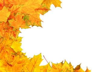 Autumnal leaves on white background. Top view, copy space