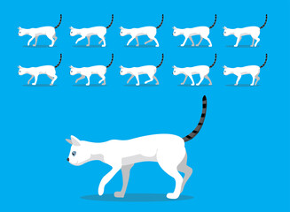 Animal Animation Sequence Cat Colorpoint Shorthair Cartoon Vector