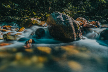 Paisaje de río en medio de un bosque
