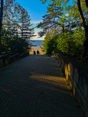 Pathway to the beach