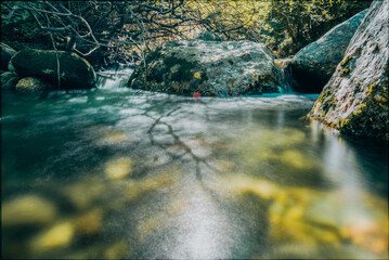Paisaje de río en medio de un bosque