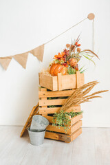 Wooden boxes with the autumn harvest stand on top of each other on a white background. Autumn decor with pumpkins and dry spikelets.